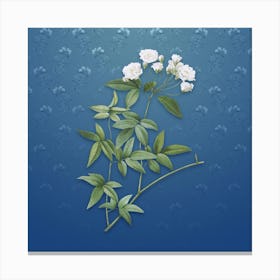 Vintage Lady Bank's Rose Botanical on Bahama Blue Pattern n.0643 Canvas Print
