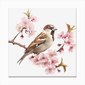 Sparrow On Cherry Blossoms Canvas Print