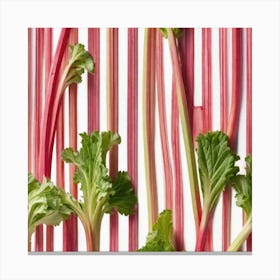 Rhubarb 78 Canvas Print