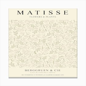 Matisse (38) Canvas Print