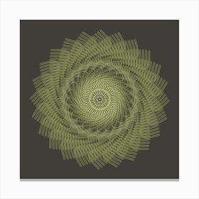 Spirographica in E Minor Canvas Print