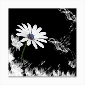 Daisy 1 Canvas Print