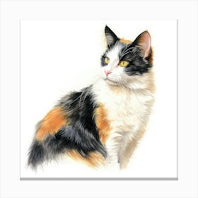 Bicolor Cat Portrait 1 Canvas Print