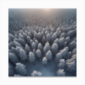 Winter Forest With Visible Horizon And Stars From Above Drone View Perfect Composition Beautiful (7) Canvas Print