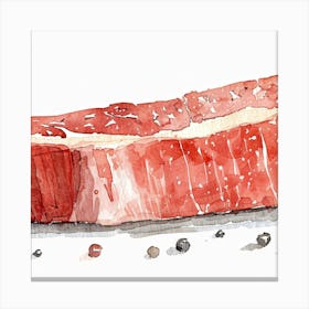 Steak Illustration Canvas Print