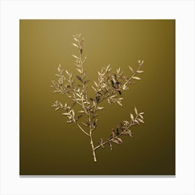 Gold Botanical Myrtle Dahoon Branch on Dune Yellow n.4526 Canvas Print