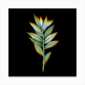 Prism Shift Smilacina Stellata Botanical Illustration on Black n.0050 Canvas Print