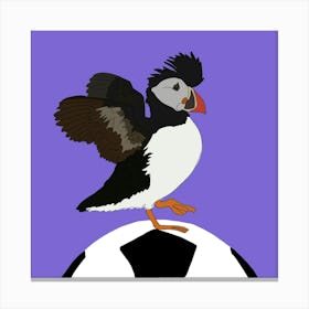 Puffin on the ball Canvas Print