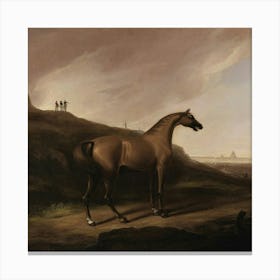 Horse On A Hillside Canvas Print