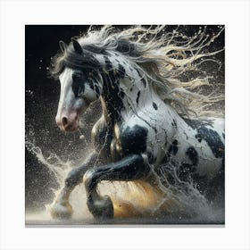 Horse Running In Water 1 Canvas Print
