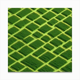 Squares In A Field Canvas Print