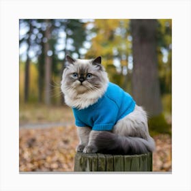 Cat In Sweater Canvas Print