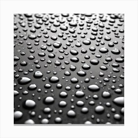 Water Droplets On A Black Surface Canvas Print