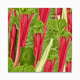 Rhubarb 90 Canvas Print