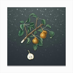Vintage Seckel Pear Botanical on Slate Gray Pattern n.0169 Canvas Print