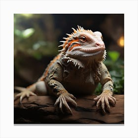 Bearded Dragon Canvas Print