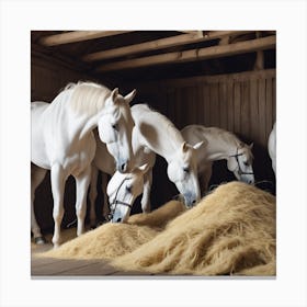 White Horses Eat Hay Canvas Print