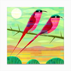 Carmine Bee Eaters Square Canvas Print