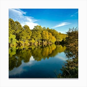 Firefly River Reflect Clear, Detailed River Reflections Stampe su tela