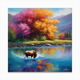 Bison In The River Canvas Print