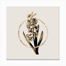 Gold Ring Dutch Hyacinth Glitter Botanical Illustration n.0238 Canvas Print