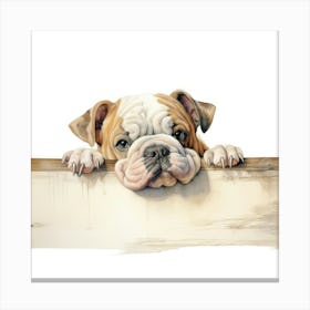 English Bulldog Canvas Print