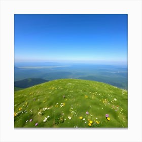 Wildflowers On A Mountain 1 Canvas Print