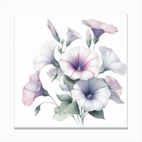 Flower of Convolves 2 Canvas Print