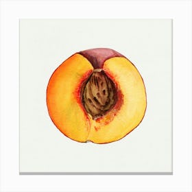 Peach 1 Canvas Print