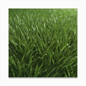 Close Up Of Green Grass 2 Canvas Print