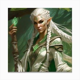 Elven Druid Canvas Print