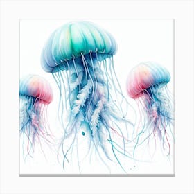 Jellyfish 6 Canvas Print