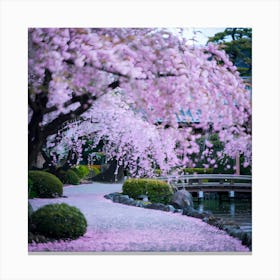 Cherry Blossoms In Kyoto Canvas Print