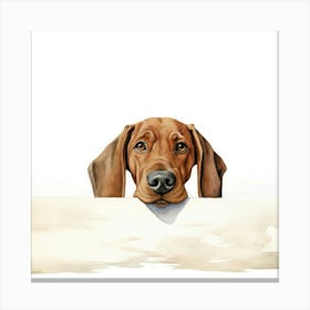 Dachshund Dog 6 Canvas Print