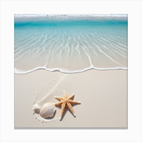 Starfish and her Friends On The Beach Canvas Print