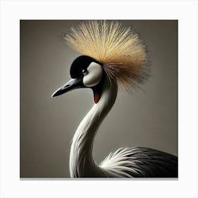 Crowned Crane Canvas Print