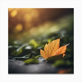 Autumn Leaf 1 Canvas Print
