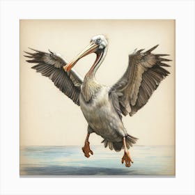 Pelican In Flight 6 Canvas Print