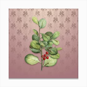 Vintage Lingonberry Evergreen Botanical on Dusty Pink Pattern n.0589 Canvas Print