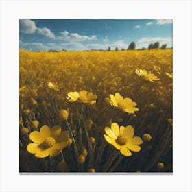 Field Of Yellow Flowers 34 Canvas Print