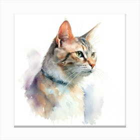 Selkirk Cat Portrait Canvas Print