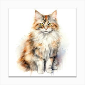 Brazilian Shorthair Longhair Cat Portrait 3 Canvas Print