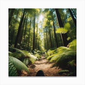 Ferns In The Forest 6 Canvas Print