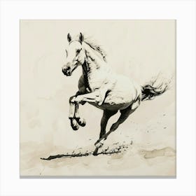 Horse Galloping Canvas Print