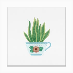 Sanseveria Houseplant Coffee Cup Painting Canvas Print
