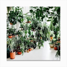 Room Full Of Plants Canvas Print