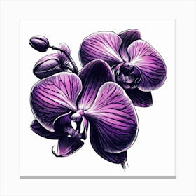 Orchid flower Canvas Print