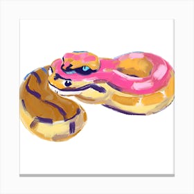 Ball Python Snake 07 Canvas Print