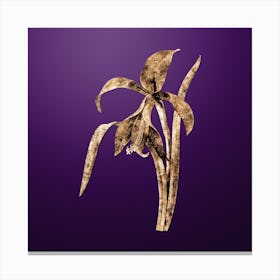 Gold Botanical Amaryllis on Royal Purple Canvas Print