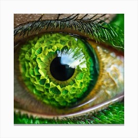 Green Eye 2 Canvas Print